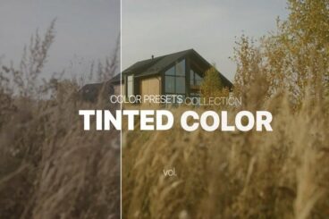 20+ Best Color Grading Presets for Premiere Pro