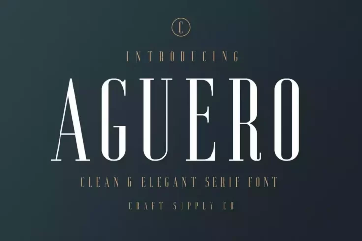 View Information about Aguero Serif Clean & Elegant Font