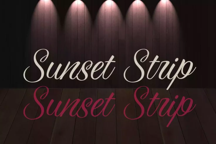 View Information about Sunset Strip 60s Style Font